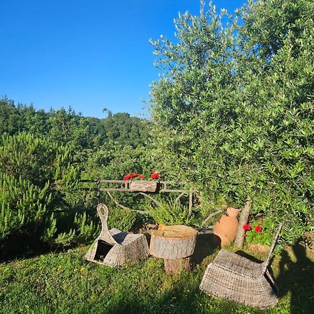 San Martino Country Villa B&B 바르베리노 디 무겔로 외부 사진