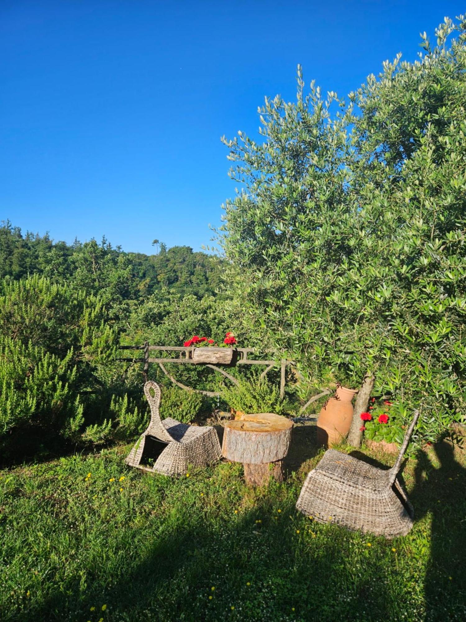 San Martino Country Villa B&B 바르베리노 디 무겔로 외부 사진